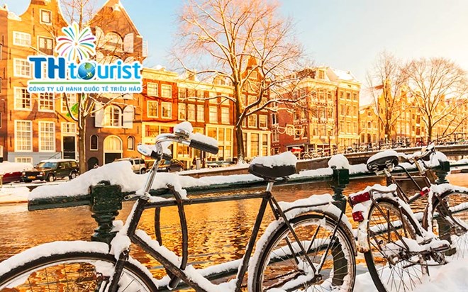 AMSTERDAM – TP. HCM