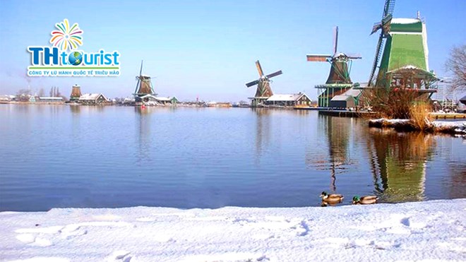 ZAANSE SCHANS - AMSTERDAM – TP. HCM