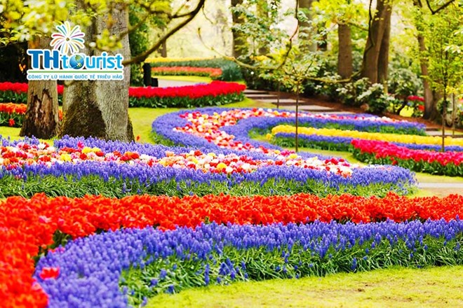 BRUSSELS – KEUKENHOF – GIETHOORN