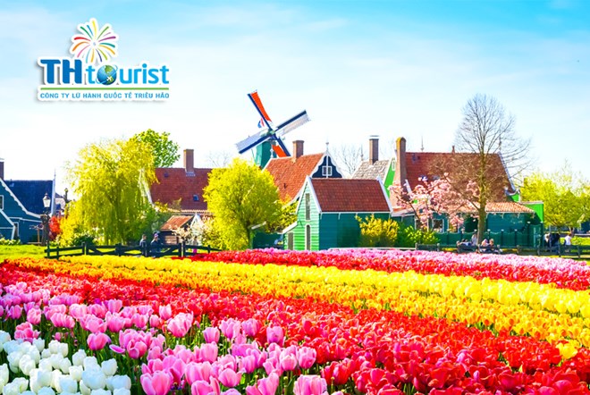 BRUSSELS – KEUKENHOF – GIETHOORN