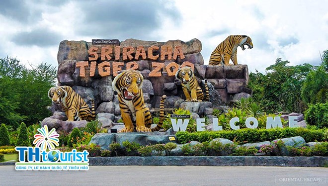 DU LỊCH THÁI LAN: BANGKOK – PATTAYA THÁNG 01 (04, 11, 19, 25/01/2018)