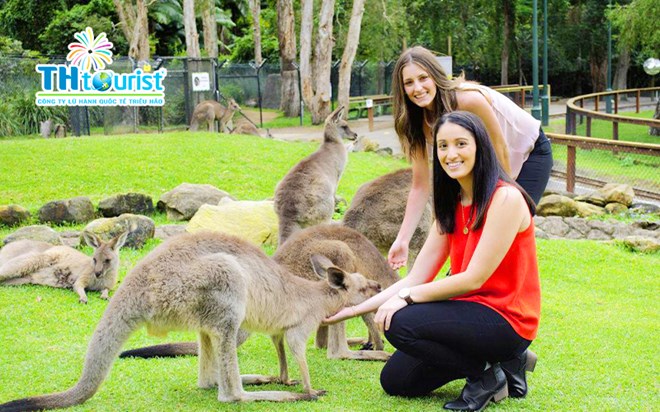 BLUE MOUNTAIN – WILDLIFE PARK