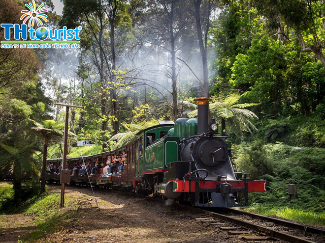 PUFFING BILLY