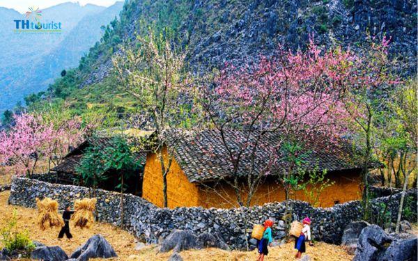 Du lịch Hà Giang