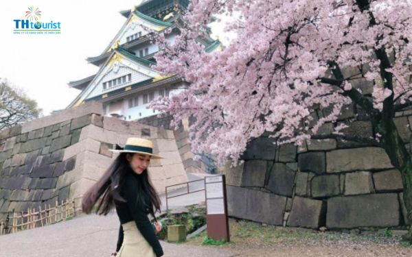 Nên chọn đi du lịch Nhật Bản tự túc hay mua tour khi đi cùng gia đình?