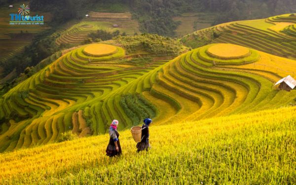 Du lịch Sapa