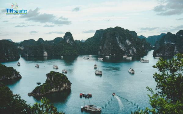 Góc chụp hình đẹp nhất: Một số vị trí đẹp trong hang để chụp ảnh bao gồm lối vào với ánh sáng tự nhiên hắt xuống, khu vực trung tâm với các khối thạch nhũ nhiều màu sắc, và cửa hang nhìn ra vịnh Hạ Long tuyệt đẹp.