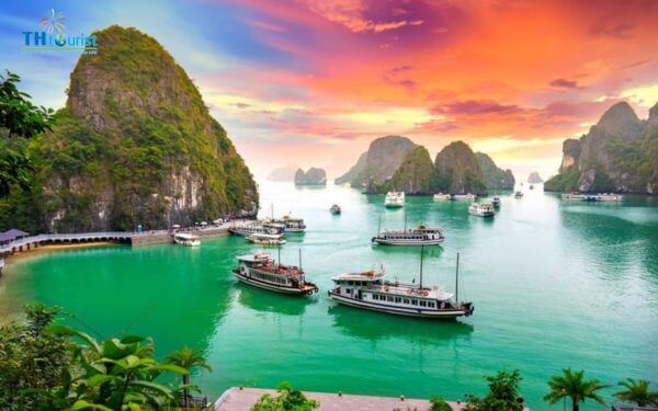 Đây là lựa chọn lý tưởng cho những du khách có thời gian hạn hẹp nhưng vẫn muốn khám phá những điểm nổi bật của Vịnh Hạ Long.