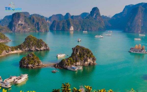vịnh Hạ Long lớn như thế nào