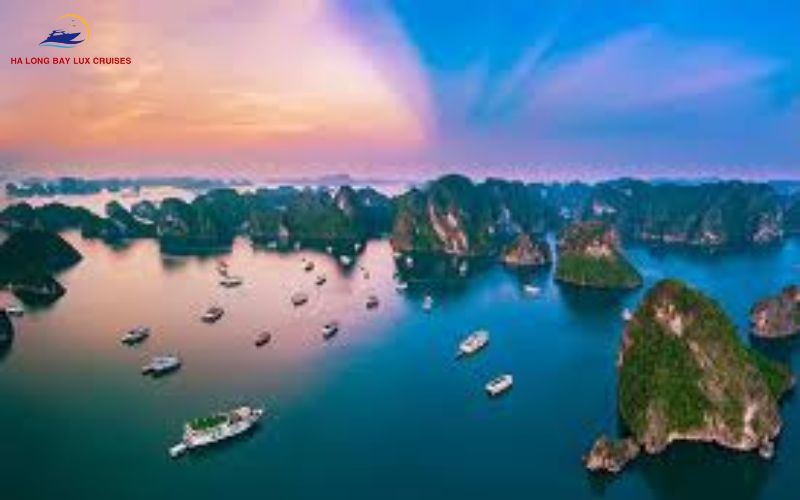 Vịnh Hạ Long nổi tiếng vì điều gì? Khám phá những điều đặc biệt