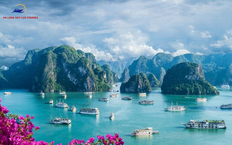 Vịnh Hạ Long vào tháng 6 – Trải Nghiệm Du Thuyền Trên Vịnh Di Sản