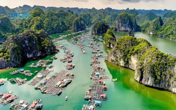Dự báo thời tiết 14 ngày tại Vịnh Hạ Long