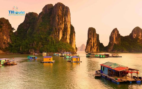 Du thuyền Vịnh Hạ Long mùa thấp điểm 2025