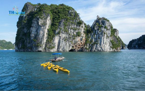 Giá thuê thường phụ thuộc vào loại thuyền, thời gian sử dụng và dịch vụ