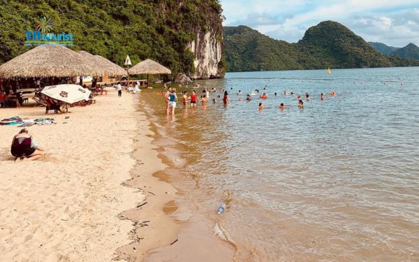 giai đoạn tháng 3 đến tháng 5 và tháng 9 đến tháng 11