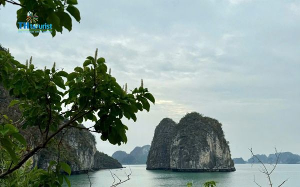 chuẩn bị kỹ càng giúp bạn tránh các rủi ro không cần thiết