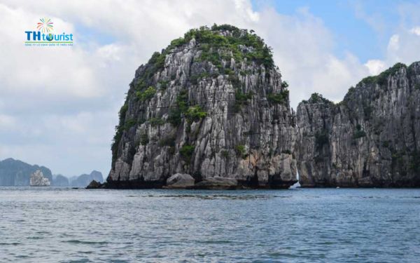 Cách xử lý khi gặp sự cố khi đặt vé