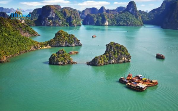 Đọc kỹ chính sách hủy và hoàn tiền