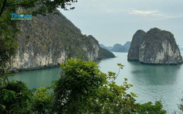 Không gian dễ di chuyển và thân thiện với người cao tuổi