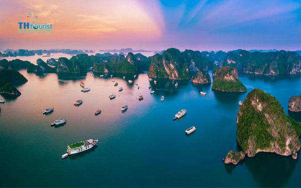 Hoạt động nhẹ nhàng, thư giãn và vừa sức