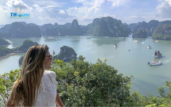 du thuyền tốt nhất cho người cao tuổi khi đến Vịnh Hạ Long