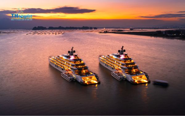 Du lịch Triều Hảo là đơn vị chuyên tổ chức tour cao cấp với nhiều hoạt động về đêm ở Vịnh Hạ Long hấp dẫn