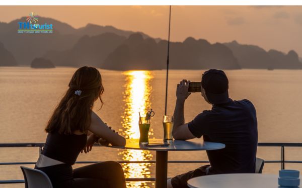 Tham gia câu mực đêm