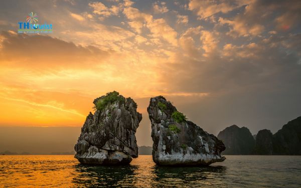 tận hưởng trọn vẹn những hoạt động về đêm ở Vịnh Hạ Long