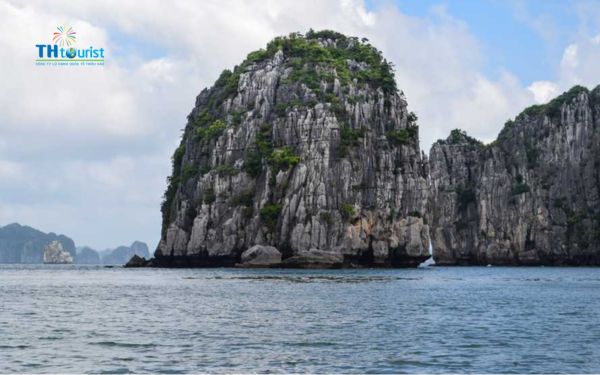 những khoản phí ẩn cần lưu ý khi đặt du thuyền: Phí xe đưa đón