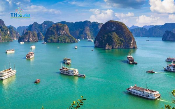 tránh những khoản phí ẩn cần lưu ý khi đặt du thuyền