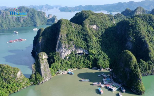 Ha Long Bay Lux Cruises được nhiều du khách đánh giá cao nhờ cách công bố chi phí rõ ràng
