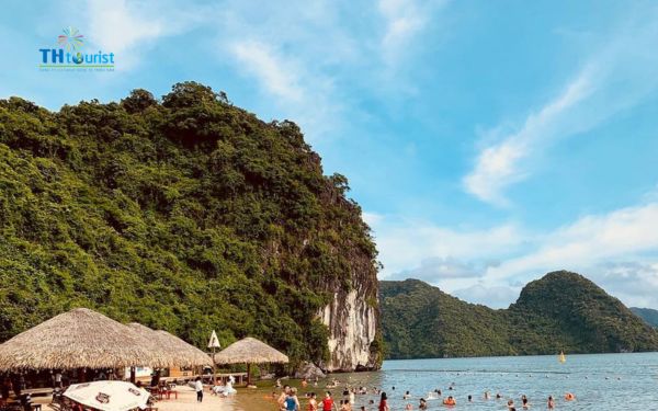 Phí VAT và phí phục vụ