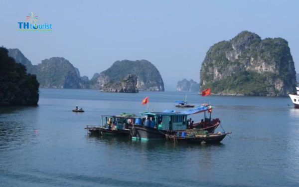 Những việc nên làm ở Vịnh Hạ Long