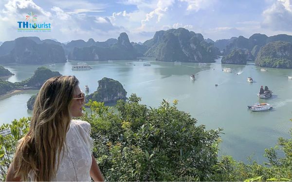 Ngắm toàn cảnh Vịnh Hạ Long từ trên cao