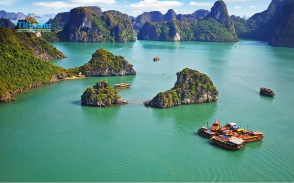 Trải nghiệm cảm giác mạnh và thú vị