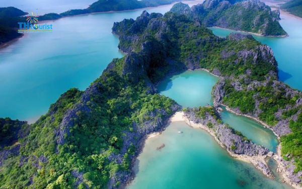 Tham quan các điểm du lịch kết nối bằng cáp treo