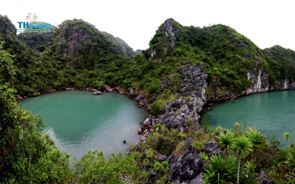 Khoảng cách từ Đà Nẵng đến Vịnh Hạ Long khoảng 800 km