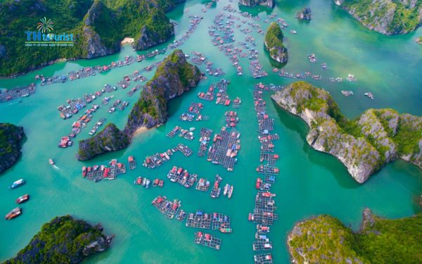 Không gian ngắm cảnh rộng và thoáng