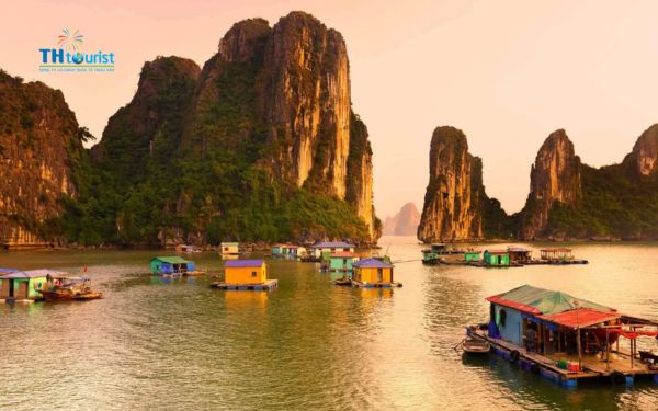 Chi phí khi đặt tour một ngày ở Vịnh Hạ Long