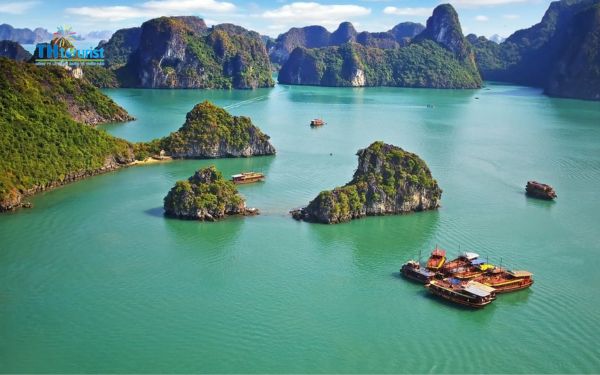 Lưu trú tại đảo Tuần Châu