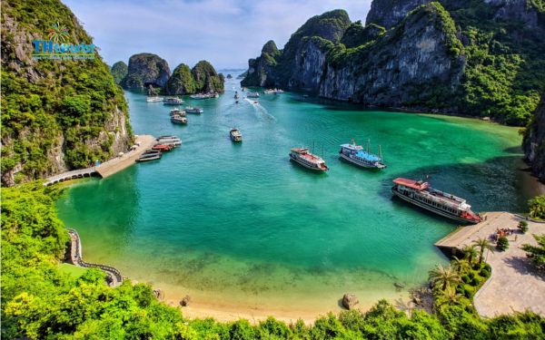 Tháng 3 đến tháng 5