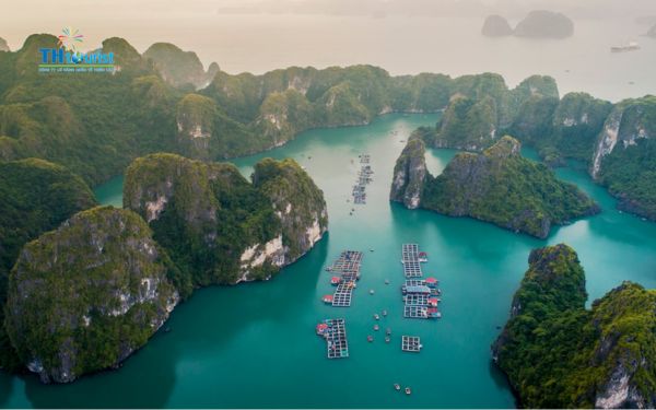 Trở lại điểm xuất phát hoặc tiếp tục hành trình