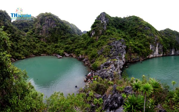 huẩn bị kỹ giúp hành trình từ Vịnh Hạ Long đến Sapa thuận lợi và ít rủi ro hơn