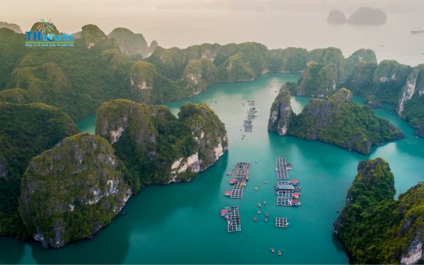 Hà Nội đi đảo Cát Bà