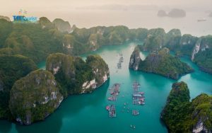 Hải sản ngon nhất tại đảo Cát Bà