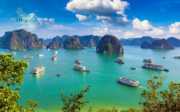 Cách tránh các chiêu trò lừa đảo khi đặt tour du thuyền Vịnh Hạ Long